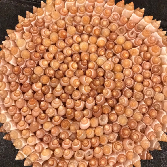 Vintage summer sea shell clutch - Picture 7 of 7